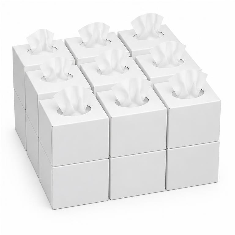 Facial Tissue Cubes, 12-Pack